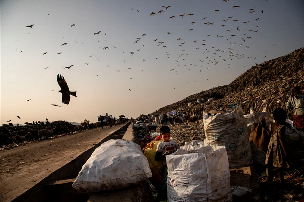 کودک زباله‌گرد هندی