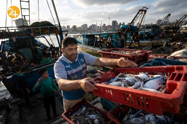 بازگشت ماهیگیران غزه به دریا