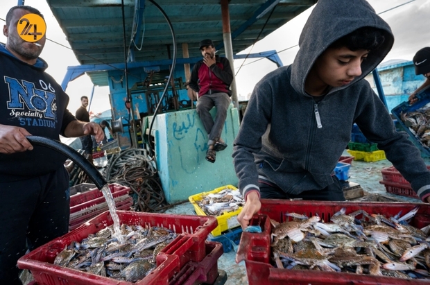 بازگشت ماهیگیران غزه به دریا