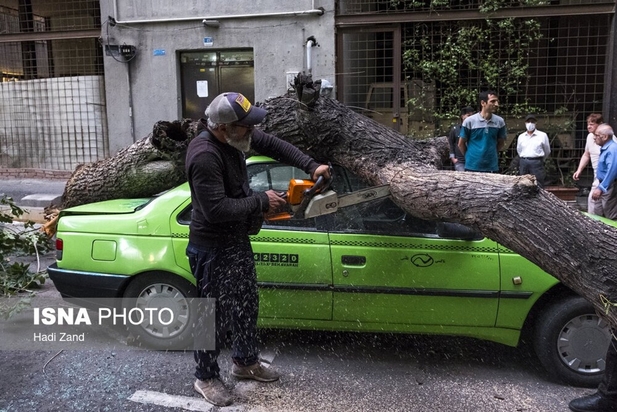 خسارات طوفان در تهران