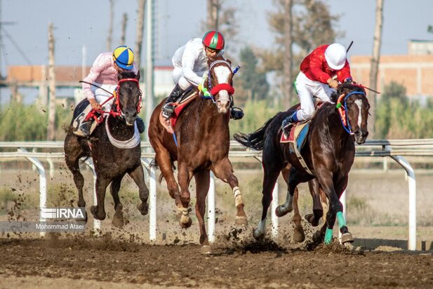 مسابقه اسب سواری گنبدکاووس