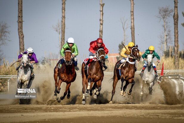 مسابقه اسب سواری گنبدکاووس